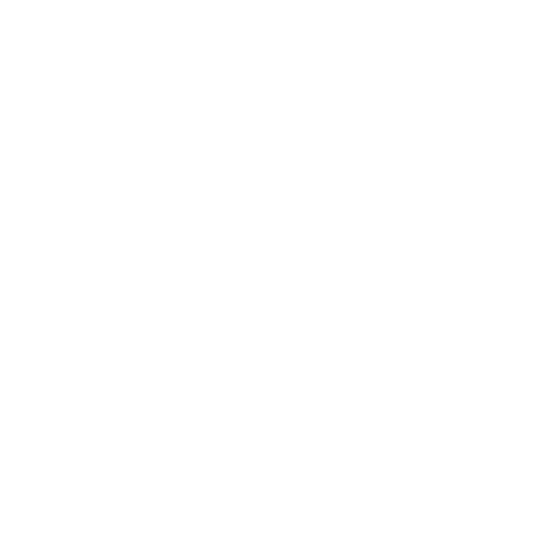 Raj Jwellary